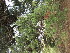  ( - PPRI-0090)  @11 [ ] No Rights Reserved  Unspecified Unspecified