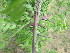  ( - PPRI-0100)  @11 [ ] No Rights Reserved  Unspecified Unspecified