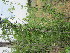  ( - PPRI-0100)  @11 [ ] No Rights Reserved  Unspecified Unspecified