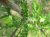  ( - PPRI-0100)  @11 [ ] No Rights Reserved  Unspecified Unspecified