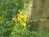  ( - PPRI-0102)  @11 [ ] No Rights Reserved  Unspecified Unspecified