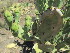  ( - PPRI-0112)  @11 [ ] No Rights Reserved  Unspecified Unspecified