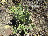  ( - PPRI-0112)  @11 [ ] No Rights Reserved  Unspecified Unspecified
