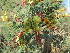  ( - PPRI-0117)  @11 [ ] No Rights Reserved  Unspecified Unspecified
