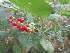  ( - PPRI-0123)  @11 [ ] No Rights Reserved  Unspecified Unspecified