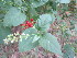  ( - PPRI-0123)  @11 [ ] No Rights Reserved  Unspecified Unspecified