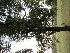  ( - PPRI-0124)  @11 [ ] No Rights Reserved  Unspecified Unspecified