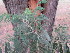  ( - PPRI-0124)  @11 [ ] No Rights Reserved  Unspecified Unspecified