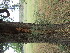  ( - PPRI-0124)  @11 [ ] No Rights Reserved  Unspecified Unspecified