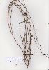  ( - AMM5827)  @11 [ ] No Rights Reserved  Unspecified Unspecified