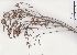  ( - Stirton13583)  @11 [ ] No Rights Reserved  Unspecified Unspecified