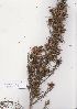  ( - AMM5978)  @11 [ ] No Rights Reserved  Unspecified Unspecified