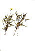  ( - RBN193)  @11 [ ] No Rights Reserved  Unspecified Unspecified