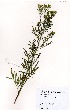 ( - RMK0006)  @11 [ ] No Rights Reserved  Unspecified Unspecified