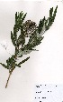  ( - RMK0011)  @11 [ ] No Rights Reserved  Unspecified Unspecified