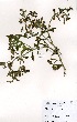  ( - RMK0014)  @11 [ ] No Rights Reserved  Unspecified Unspecified