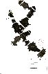  ( - SPB11143)  @11 [ ] No Rights Reserved  Unspecified Unspecified