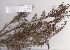  ( - Dlodlo118)  @11 [ ] No Rights Reserved  Unspecified Unspecified