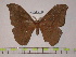  ( - BC-FMP-0108)  @11 [ ] Copyright (2010) Unspecified Research Collection of Frank Meister