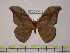  ( - BC-FMP-0115)  @13 [ ] Copyright (2010) Unspecified Research Collection of Frank Meister