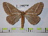  ( - BC-FMP-0152)  @11 [ ] Copyright (2010) Unspecified Research Collection of Frank Meister