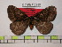  ( - BC-FMP-0169)  @13 [ ] Copyright (2010) Unspecified Research Collection of Frank Meister