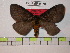  ( - BC-FMP-0170)  @13 [ ] Copyright (2010) Unspecified Research Collection of Frank Meister