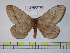  ( - BC-FMP-0175)  @11 [ ] Copyright (2010) Unspecified Research Collection of Frank Meister
