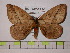  ( - BC-FMP-0194)  @12 [ ] Copyright (2010) Unspecified Research Collection of Frank Meister