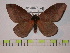  ( - BC-FMP-0249)  @12 [ ] Copyright (2010) Unspecified Research Collection of Frank Meister