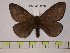  ( - BC-FMP-0250)  @11 [ ] Copyright (2010) Unspecified Research Collection of Frank Meister