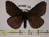  ( - BC-FMP-0252)  @13 [ ] Copyright (2010) Unspecified Research Collection of Frank Meister