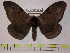  ( - BC-FMP-0257)  @14 [ ] Copyright (2010) Unspecified Research Collection of Frank Meister