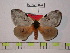  ( - BC-FMP-0258)  @11 [ ] Copyright (2010) Unspecified Research Collection of Frank Meister