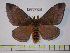 ( - BC-FMP-0286)  @14 [ ] Copyright (2010) Unspecified Research Collection of Frank Meister