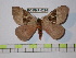  ( - BC-FMP-0296)  @13 [ ] Copyright (2010) Unspecified Research Collection of Frank Meister