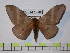  ( - BC-FMP-0298)  @13 [ ] Copyright (2010) Unspecified Research Collection of Frank Meister
