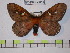  ( - BC-FMP-0314)  @11 [ ] Copyright (2010) Unspecified Research Collection of Frank Meister