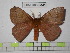  ( - BC-FMP-0341)  @14 [ ] Copyright (2010) Unspecified Research Collection of Frank Meister