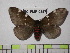  ( - BC-FMP-0357)  @12 [ ] Copyright (2010) Unspecified Research Collection of Frank Meister