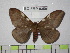  ( - BC-FMP-0359)  @14 [ ] Copyright (2010) Unspecified Research Collection of Frank Meister
