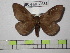  ( - BC-FMP-0363)  @12 [ ] Copyright (2010) Unspecified Research Collection of Frank Meister