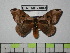 ( - BC-FMP-0403)  @12 [ ] Copyright (2010) Unspecified Research Collection of Frank Meister