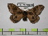  ( - BC-FMP-0419)  @13 [ ] Copyright (2010) Unspecified Research Collection of Frank Meister
