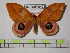  ( - BC-FMP-0423)  @14 [ ] Copyright (2010) Unspecified Research Collection of Frank Meister