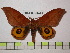  ( - BC-FMP-0446)  @11 [ ] Copyright (2010) Unspecified Research Collection of Frank Meister