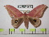  ( - BC-FMP-0450)  @14 [ ] Copyright (2010) Unspecified Research Collection of Frank Meister