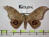  ( - BC-FMP-0456)  @14 [ ] Copyright (2010) Unspecified Research Collection of Frank Meister