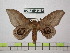  ( - BC-FMP-0462)  @13 [ ] Copyright (2010) Unspecified Research Collection of Frank Meister