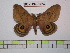  ( - BC-FMP-0574)  @15 [ ] Copyright (2010) Unspecified Research Collection of Frank Meister